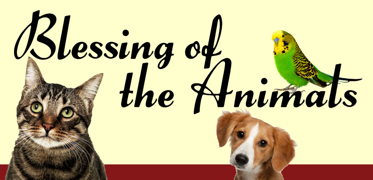 free clip art blessing of the animals - photo #9